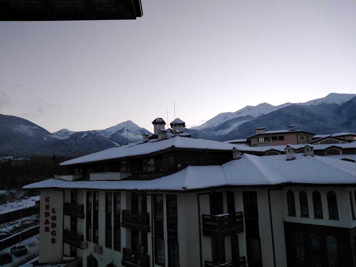 Bansko Royal Towers - Studio 153 Luaran gambar